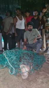 ग्राम भूरनी खतिरपुर में निकला 10 फुट का विशाल मगरमच्छ, वन विभाग ने किया रेस्क्यू