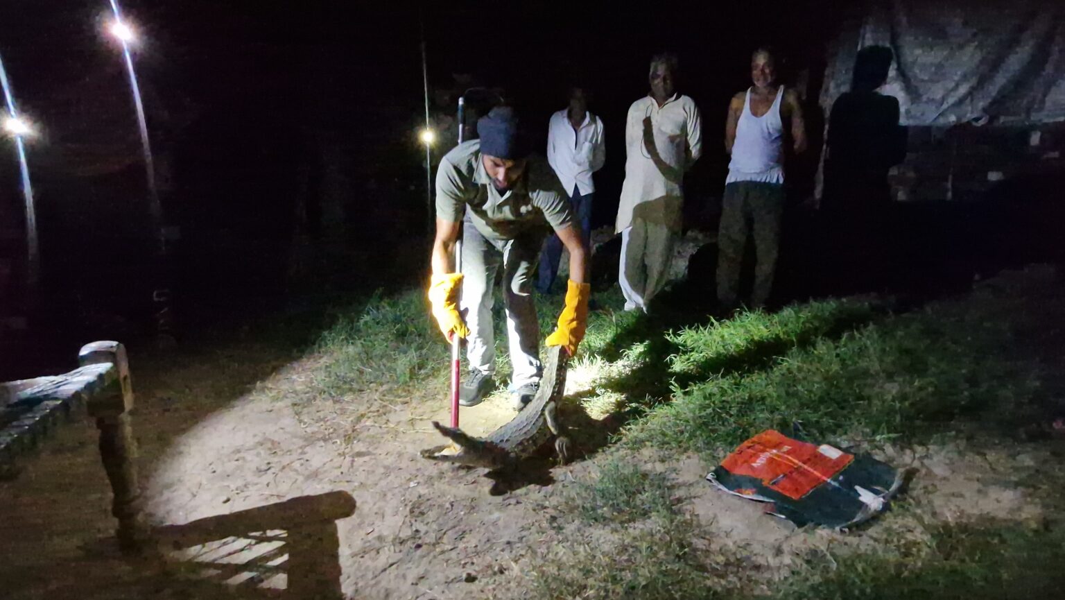 लक्सर में मगरमच्छ का रेस्क्यू, वन विभाग की टीम ने दिखायी मुस्तैदी