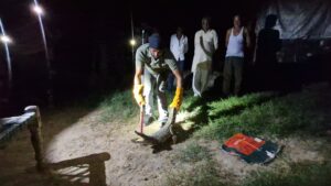 लक्सर में मगरमच्छ का रेस्क्यू, वन विभाग की टीम ने दिखायी मुस्तैदी