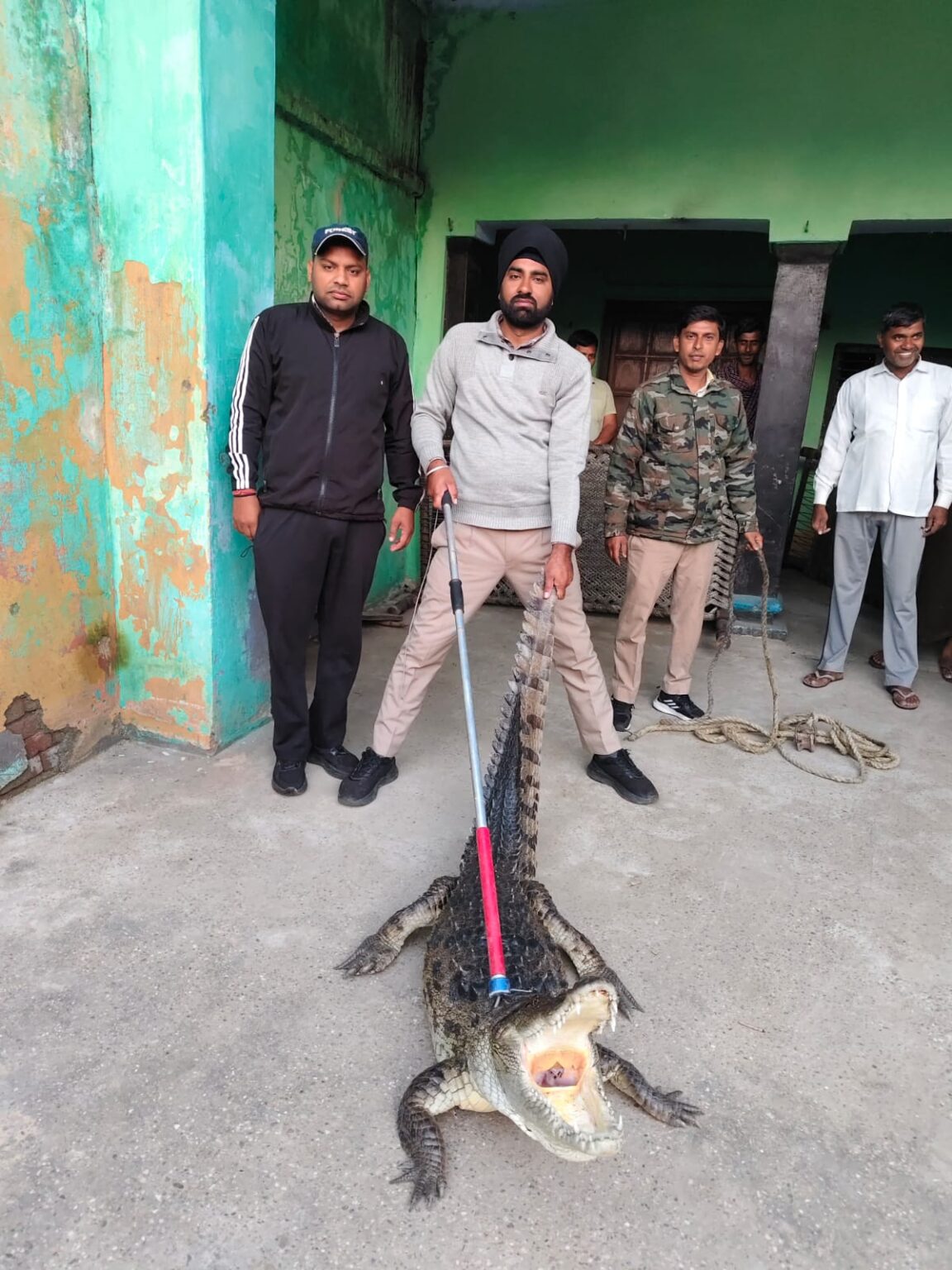 लक्सर में एक ही दिन दो घरों में निकले मगरमच्छ, वन विभाग की टीम ने किया सुरक्षित रेस्क्यू